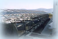 public aquarium conception in aquaculture, hatchery, fish farming, pisciculture studies and project,how the create a fish farm