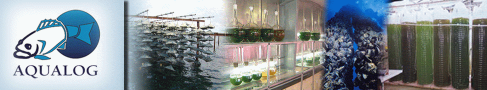  - l’elevage intensif de poissons, création d’une ferme aquacole, créer une ecloserie, stérilisation de coquillage, purification de coquillage, matériel en aquaculture, materiel de ferme aquacole, etude pisciculture, création d’une pisciculture, le matériel en pisciculture, projet de conchyliculture,bureau d'etudes et conseil en aquaculture