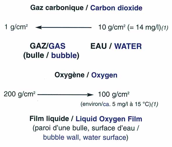 Aeration - oxygenation degazage du gaz carbonique de l'azote et de l ammoniaque en aquaculture pisciculture conchyliculture aquarium ferme aquacole &eacute;closeriet 