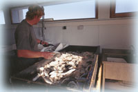 AQUALOG est un Bureau d'Etudes sp&eacute;cialis&eacute; dans la conception de fermes aquacoles, d'&eacute;closeries et d'Aquariums Publics.