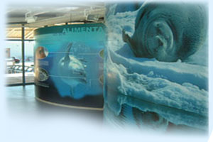 AQUALOG est un Bureau d'Etudes sp&eacute;cialis&eacute; dans la conception de fermes aquacoles, d'&eacute;closeries et d'Aquariums Publics.