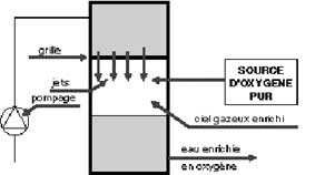 A&eacute;ration et oxyg&eacute;nateurs en milieu aquaculture pisciculture ferme aquacole et &eacute;levage de poisson