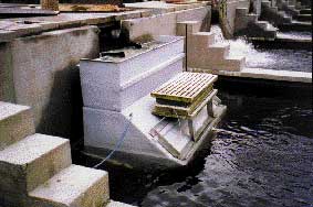 A&eacute;ration et oxyg&eacute;nateurs en milieu aquaculture pisciculture ferme aquacole et &eacute;levage de poisson