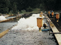 alimentation de poisson en ferme aquacole aquaculture pisciculture conchyliculture et en aquarium public