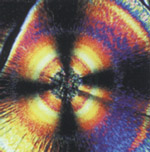 alimentation des poissons en aquaculture pisciculture en fermer aquacole et elevage de poissons ou conchyliculture