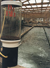 alimentation de poisson en ferme aquacole aquaculture pisciculture conchyliculture et en aquarium public