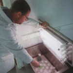 aliments naturels et microalgues en aquaculture pisciculture  conchylicultures fermes aquacoles bior&eacute;acteurs phytoplancton haliments naturels et microalgues en aquaculture pisciculture  conchylicultures fermes aquacoles bior&eacute;acteurs phytoplancton h