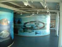 aqualog r&eacute;alise mus&eacute;ographie aquarium public et priv&eacute;