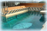 conception et r&eacute;alisation d'aquarium public et priv&eacute; seaquarium grau du roi