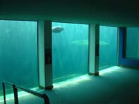 conception et construction d'aquariums publics et priv&eacute;s