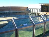 conception et construction d'aquariums publics et priv&eacute;s