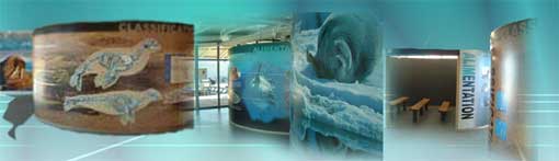 aquarium mus&eacute;ographie du monde aquatique