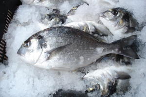 Aquaculture ing&eacute;ni&eacute;rie normes sanitaires