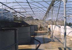 De l'id&eacute;e &agrave; la r&eacute;alisation de vos projets cl&eacute;s en main ou par &eacute;tape en aquaculture, pisciculture conchyliculture, ferme aquacole viviers 