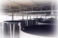 Techniques de conception et de r&eacute;alisation d'&eacute;closerie marine ferme aquacole pisciculture aquarium viviers conchyliculture