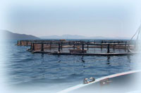 AQUALOG, gr&acirc;ce &agrave; son &eacute;quipe conception r&eacute;alisation peut mettre en oeuvre des projets aquacoles industriels. 