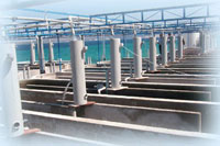 AQUALOG, gr&acirc;ce &agrave; son &eacute;quipe conception r&eacute;alisation peut mettre en oeuvre des projets aquacoles industriels. 