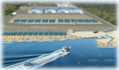 AQUALOG, gr&acirc;ce &agrave; son &eacute;quipe conception r&eacute;alisation peut mettre en oeuvre des projets aquacoles industriels. 