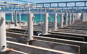 Techniques de conception et de r&eacute;alisation d'&eacute;closerie marine ferme aquacole pisciculture aquarium viviers conchyliculture