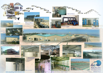 De l'id&eacute;e &agrave; la r&eacute;alisation de vos projets cl&eacute;s en main ou par &eacute;tape en aquaculture, pisciculture conchyliculture, ferme aquacole viviers 