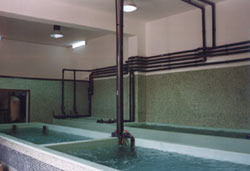 Station de purification conclyliculture  coquillages 